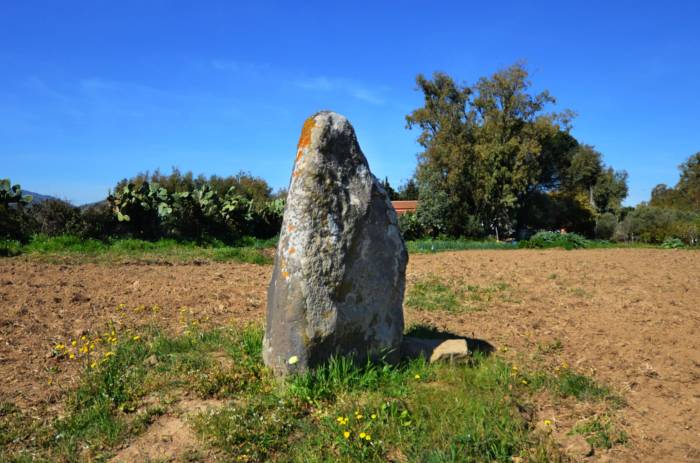 Menhir Prunas