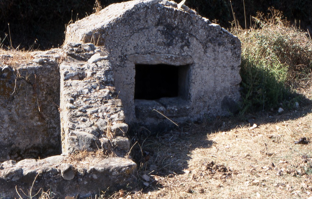 Mitza de s'abiu