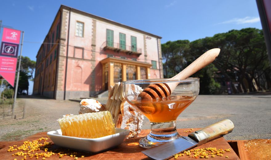 Sagra del miele 2020 - Avanti con prudenza.