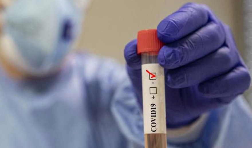 TUTTI NEGATIVI i tamponi effettuati sui contatti che avevano costretto prudenzialmente a casa due classi della scuola dell'obbligo
