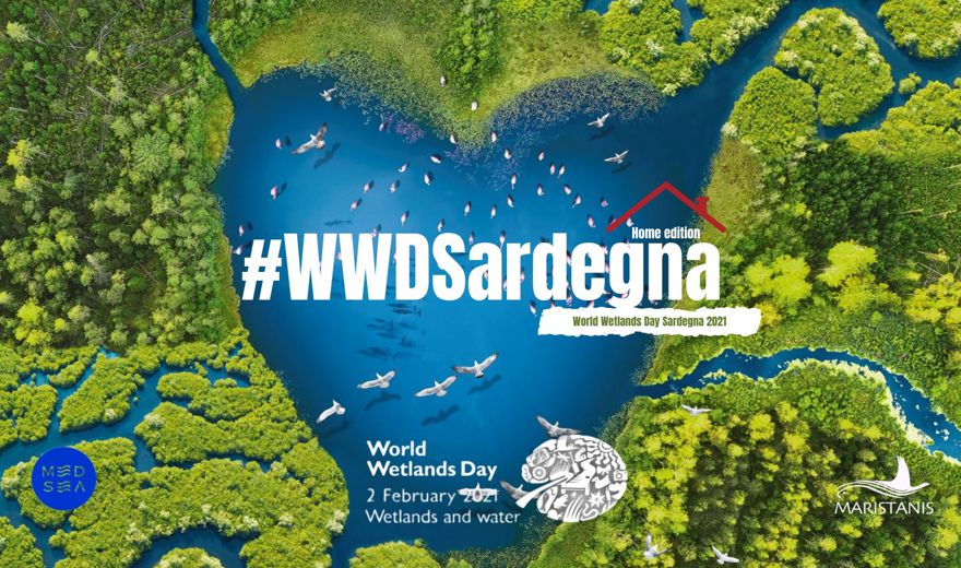 2 febbraio, giornata mondiale delle zone umide: MEDSEA propone un ricco calendario di eventi per tutto febbraio 