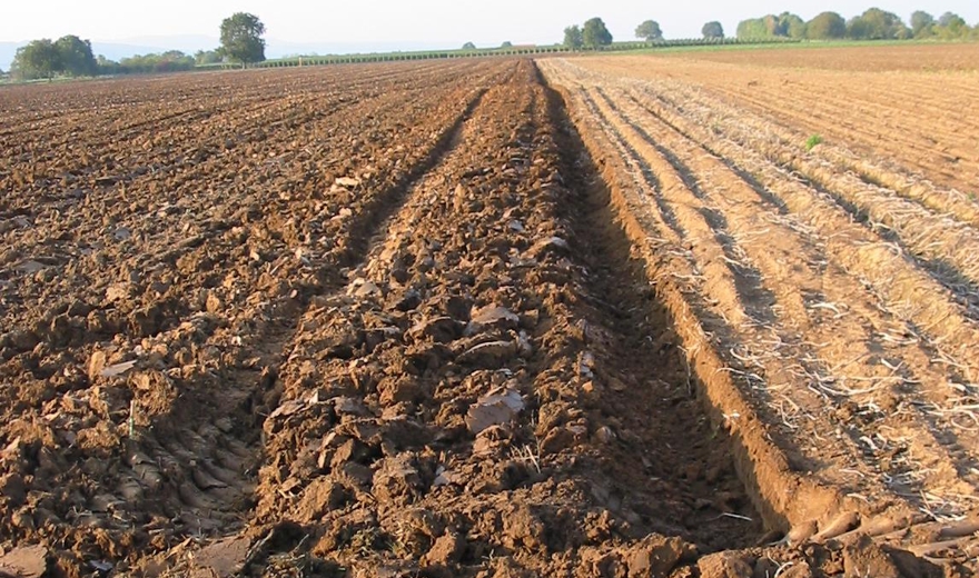 Assegnazione delle terre Pubbliche gravate da uso civico per le annate agrarie: Pubblicata la graduatoria