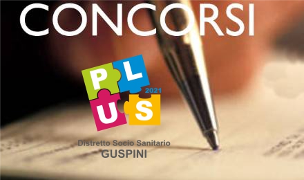 Pubblicati gli elenchi degli ammessi, ammessi con riserva ed esclusi al Concorso per  4 posti di Istruttore Direttivo Assistente Sociale per l'Ufficio di Piano del PLUS