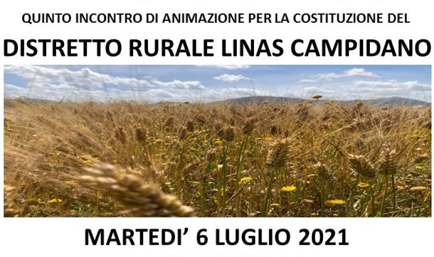 Domani martedì 6 luglio 2021, alle ore 19, si terrà il quinto incontro per la costituzione del distretto rurale Linas Campidano