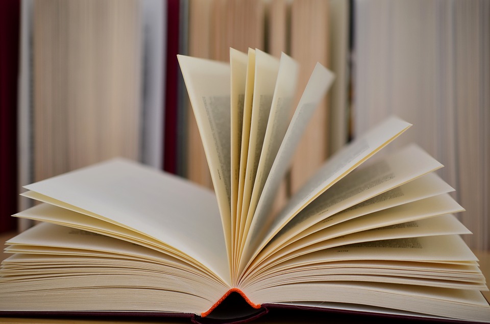 Pubblicato l'avviso per la raccolta di manifestazioni di interesse alla fornitura di libri per la biblioteca comunale “Sergio Atzeni” di Guspini.