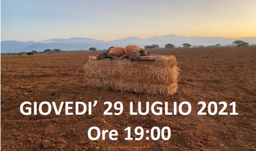 Giovedì 29 luglio 2021, alle ore 19, si terrà il sesto incontro per la costituzione del distretto rurale Linas Campidano